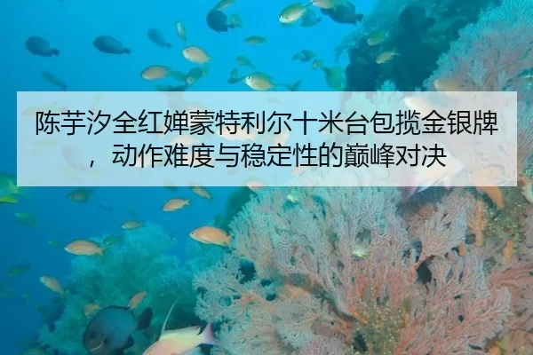 陈芋汐全红婵蒙特利尔十米台包揽金银牌，动作难度与稳定性的巅峰对决